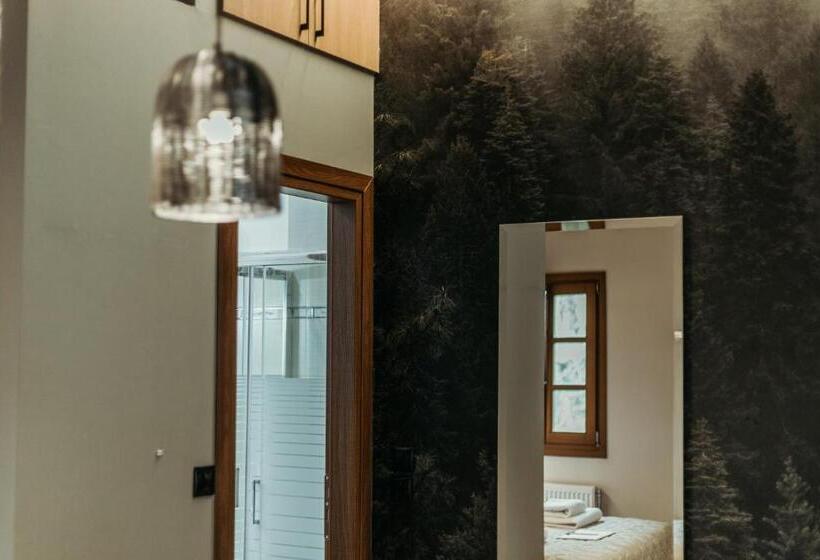 غرفة قياسية, Acropolis Mystra Guesthouse