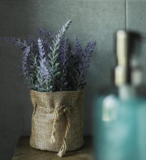 غرفة ديلوكس, Acropolis Mystra Guesthouse