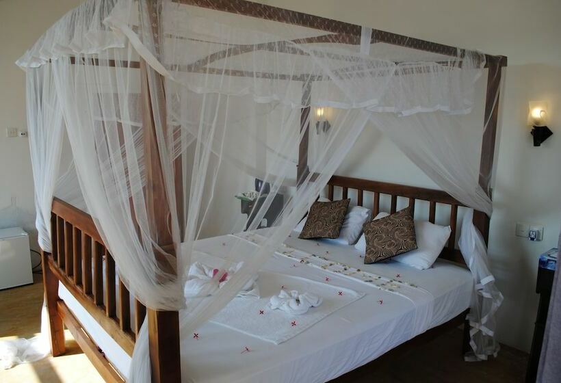 高级大房间, Asha Beach & Spa