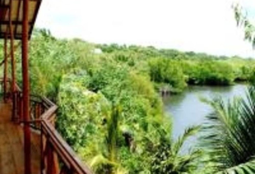 高级大房间, Asha Beach & Spa