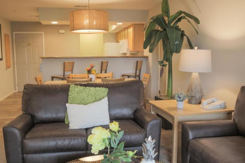 חדר אקונומי יחיד, Hotorget