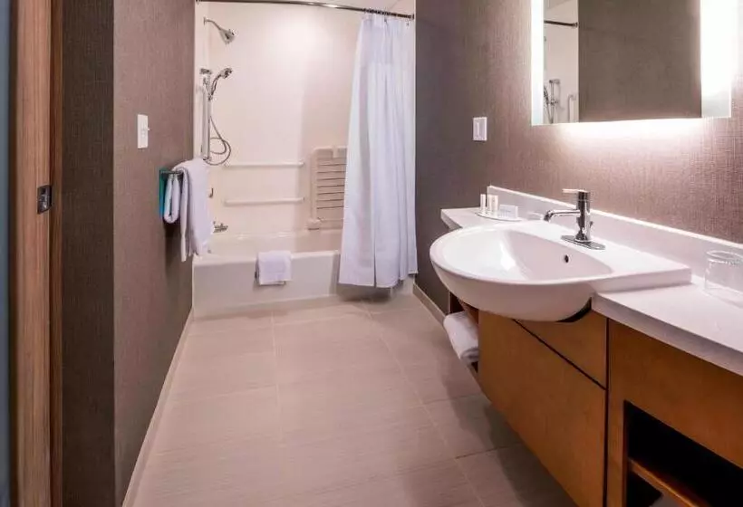 スーペリアスタジオ, Springhill Suites By Marriott Fishkill