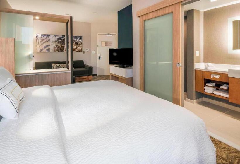 高级工作室, Springhill Suites By Marriott Fishkill