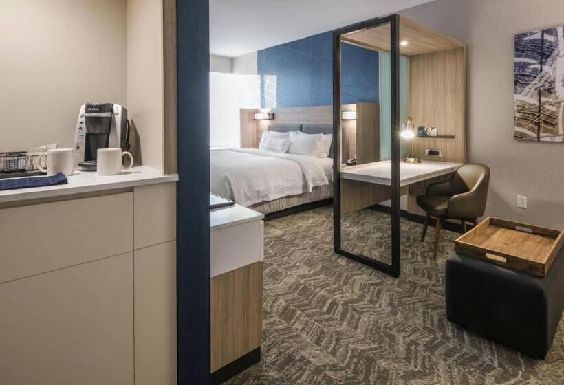 高级工作室, Springhill Suites By Marriott Fishkill
