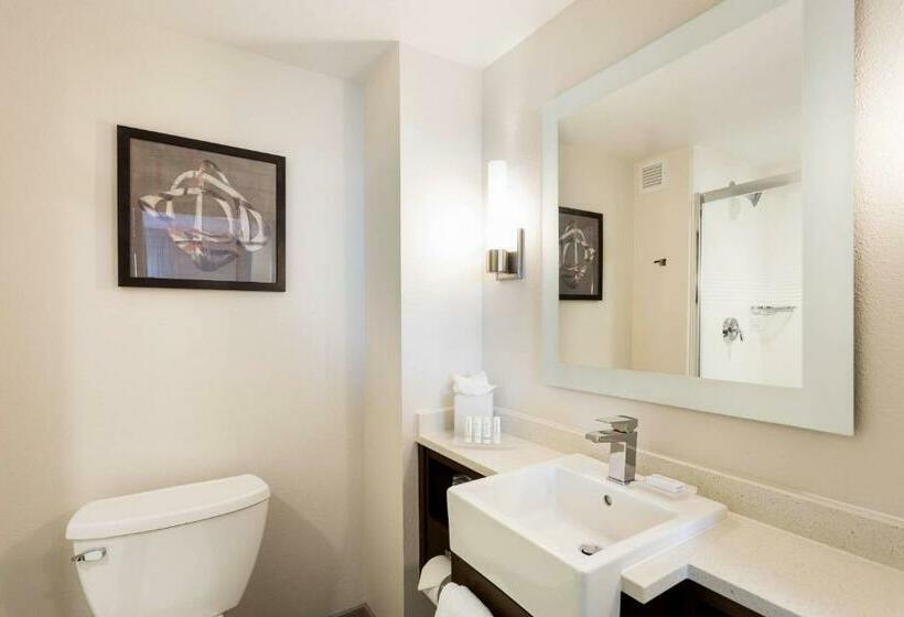 Студио Стандарт Кровать Кинг, Towneplace Suites By Marriott San Mateo Foster City