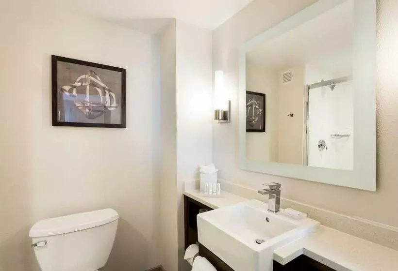 キングサイドベッドのスタンダードワンルーム, Towneplace Suites By Marriott San Mateo Foster City
