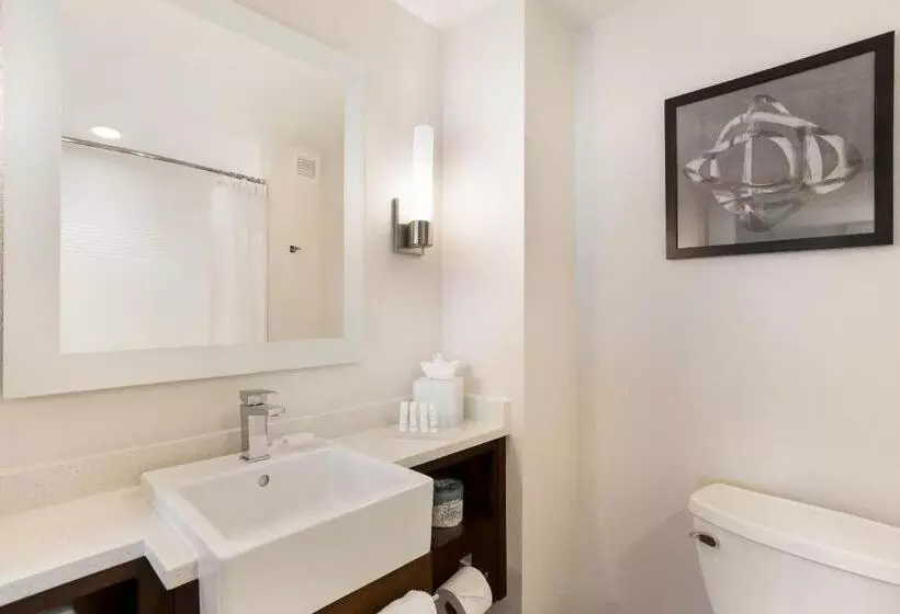 スタンダードスタジオ, Towneplace Suites By Marriott San Mateo Foster City