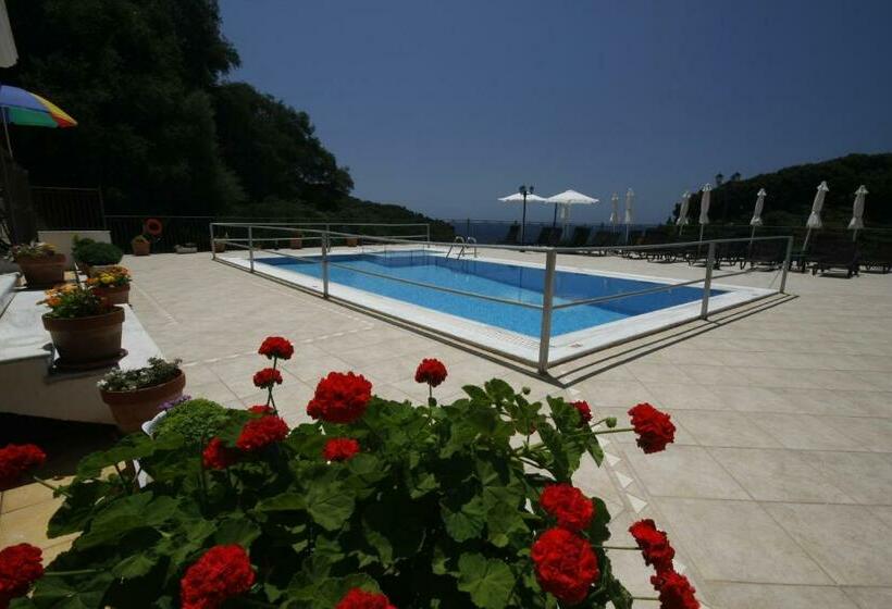 Номер Deluxe, Petrino Apartments