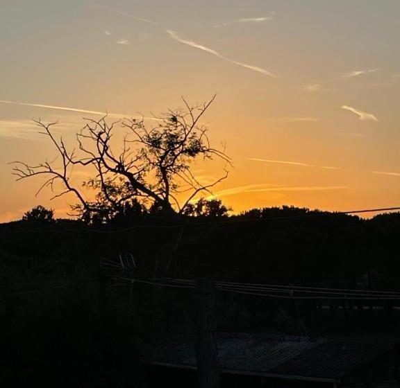 חדר סטנדרט עם מרפסת, Il Fenicottero