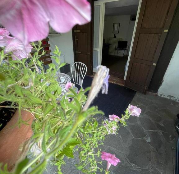 חדר סטנדרט פנימי, Il Fenicottero