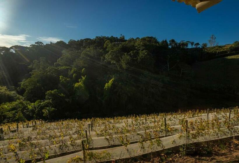 Bungalow Deluxe, Quinta Dos Manacás Pousada   Pedra Azul   Rota Dos Lagos