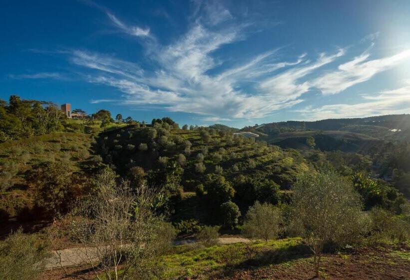 Bungalow Deluxe, Quinta Dos Manacás Pousada   Pedra Azul   Rota Dos Lagos