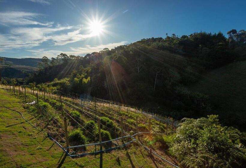 Бунгало Стандарт, Quinta Dos Manacás Pousada   Pedra Azul   Rota Dos Lagos
