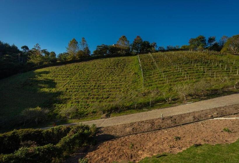 Bungalow Standard, Quinta Dos Manacás Pousada   Pedra Azul   Rota Dos Lagos