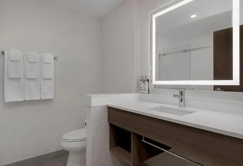 Deluxe-huone Soveltuu Liikuntarajoitteisille, Holiday Inn Express & Suites St Thomas