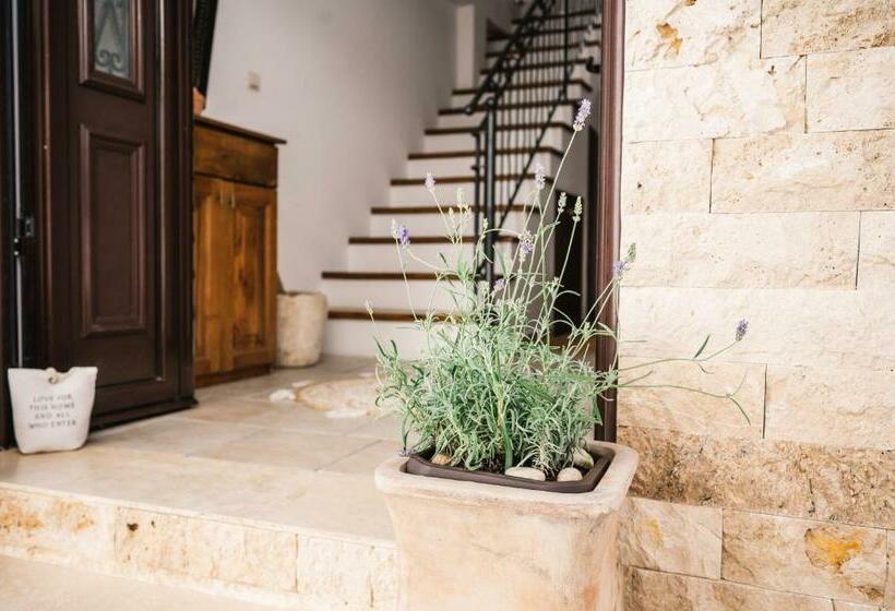 اتاق استاندارد, Guest House Mirah