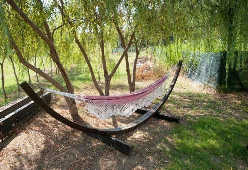 آپارتمان 1 خوابه, Bilocale Vicino Al Mare