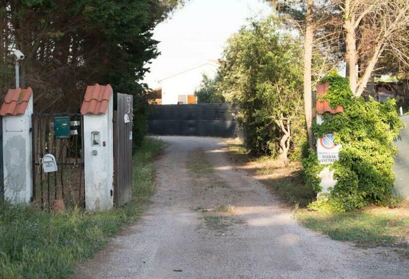 آپارتمان 1 خوابه, Bilocale Vicino Al Mare