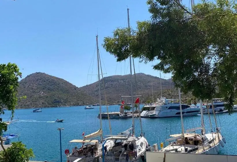 Perhehuone Merinäkymä, Trakheia Otel