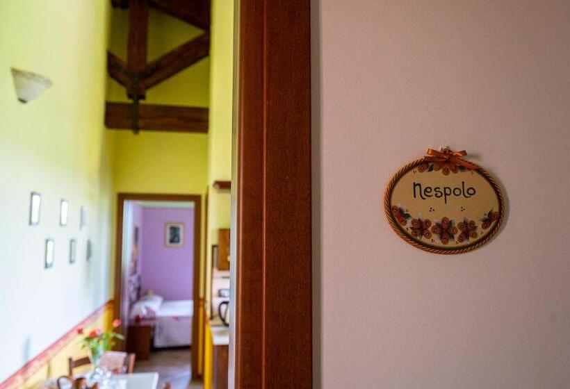 דירת חדר, L Olmo Di Casigliano