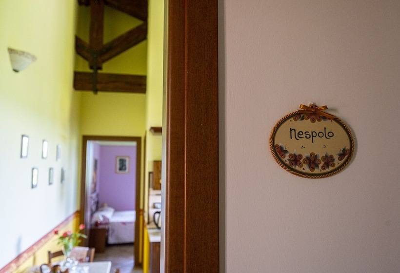 דירת חדר, L Olmo Di Casigliano