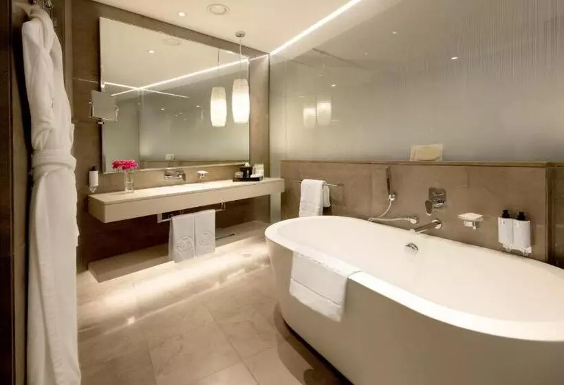اتاق استاندارد با چشمانداز شهر, Amman Rotana