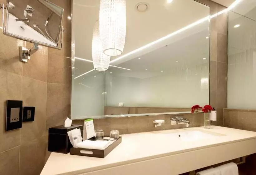 اتاق استاندارد با چشمانداز شهر, Amman Rotana