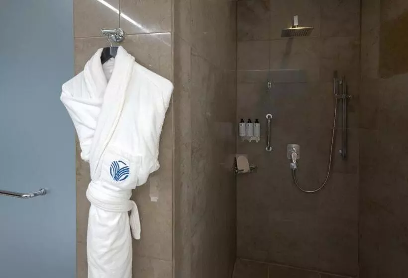 اتاق استاندارد با تخت بزرگ, Amman Rotana