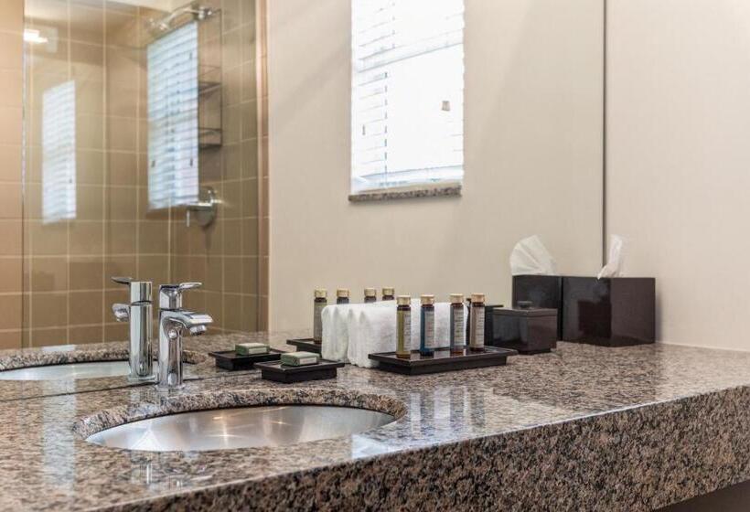 带大床的套房, Kasa El Paseo Miami Beach