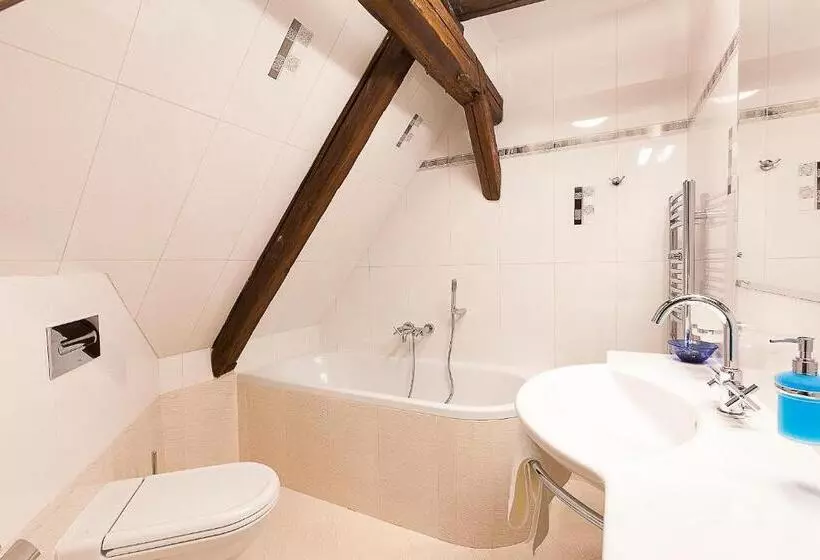 Standard-huone, Krčínův Dům