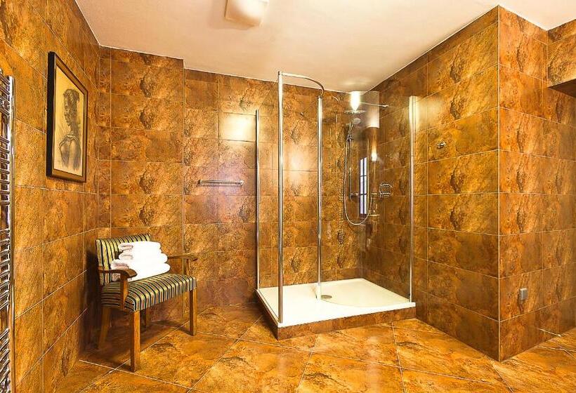 豪华套房, Krčínův Dům