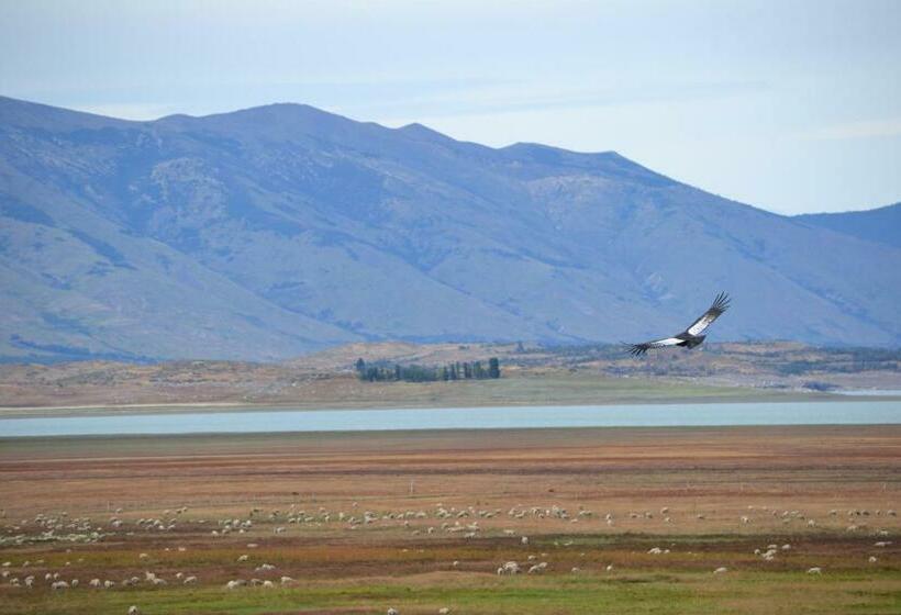スタンダードルーム, Madretierra Patagonia