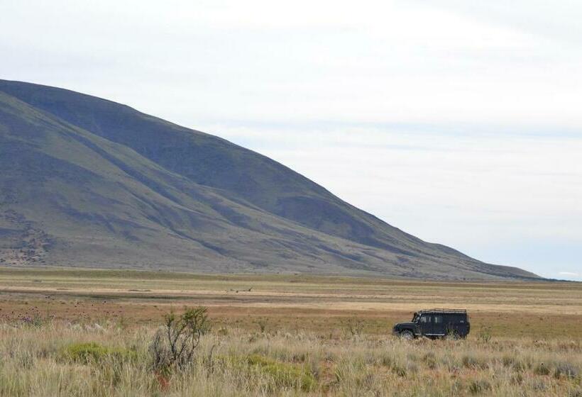 标准间, Madretierra Patagonia