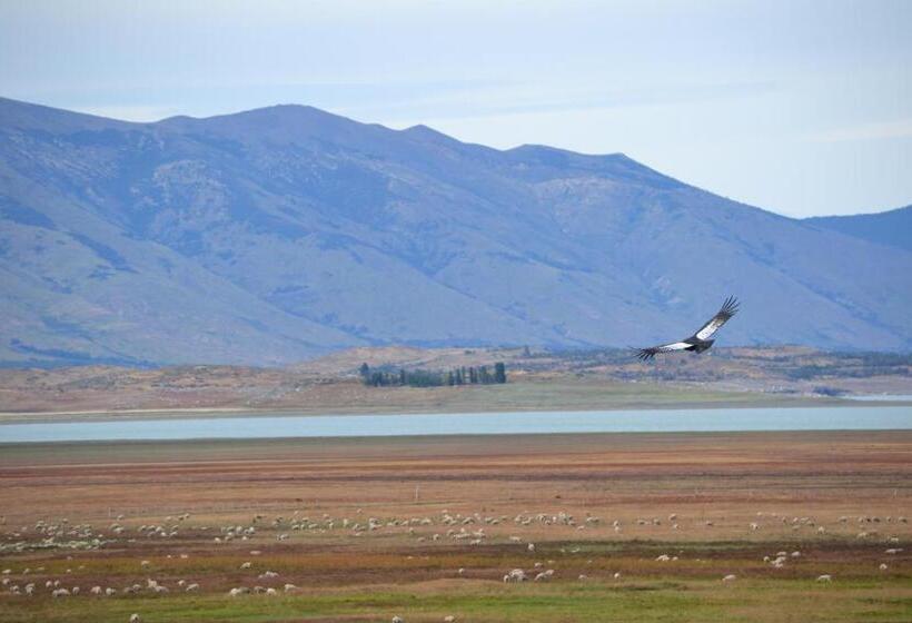エコノミーシングルルーム, Madretierra Patagonia
