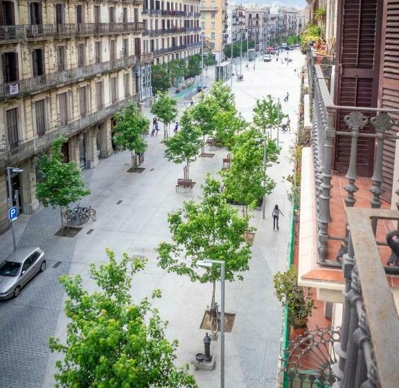 Номер Стандарт, Pension Ciudadela