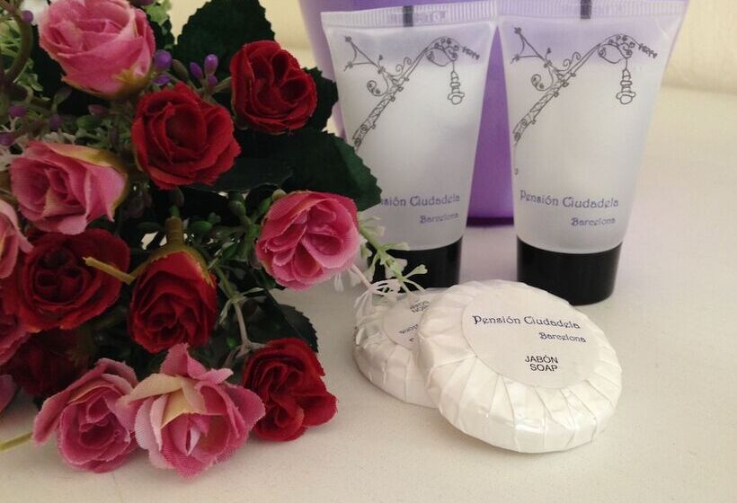 Номер Стандарт, Pension Ciudadela