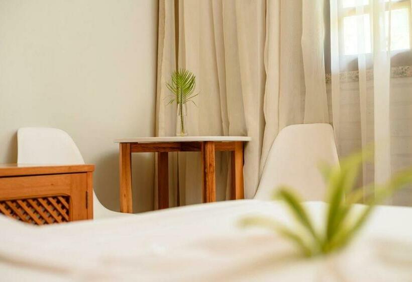 디럭스 룸, Vento Brasil