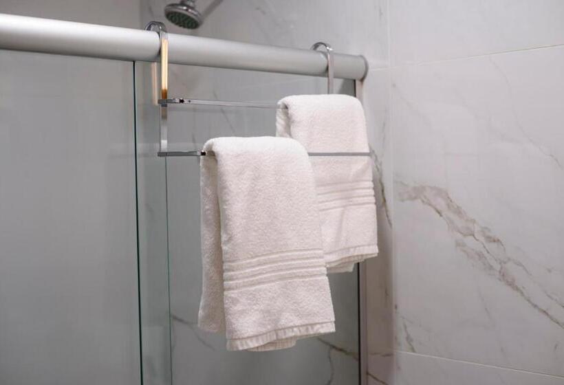 디럭스 룸, Vento Brasil