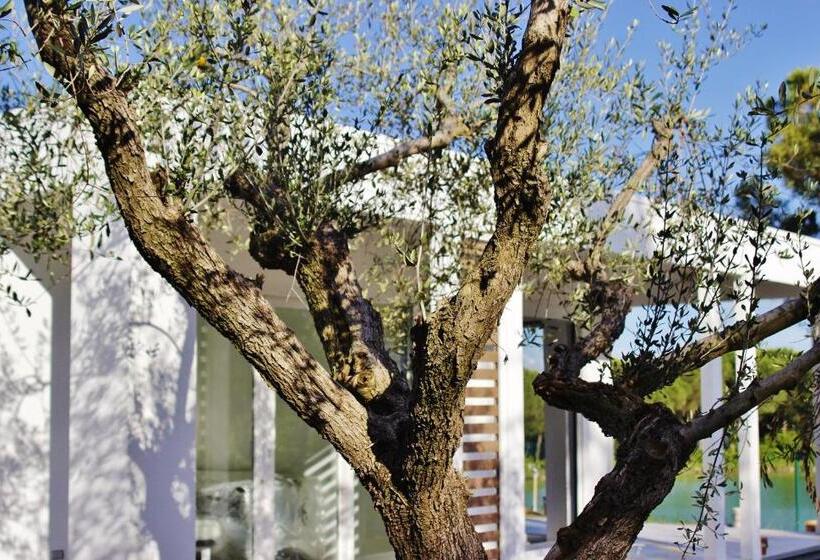 וילה בת 2 חדרי שינה, Villaggio La Pescaccia