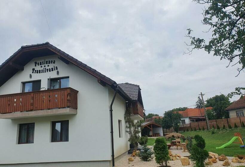 Номер Deluxe, Pensiunea Transilvania
