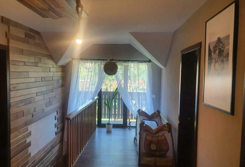 Номер Deluxe, Pensiunea Transilvania