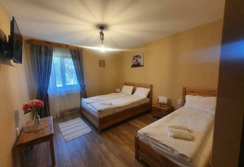 Номер Стандарт Трехместный, Pensiunea Transilvania