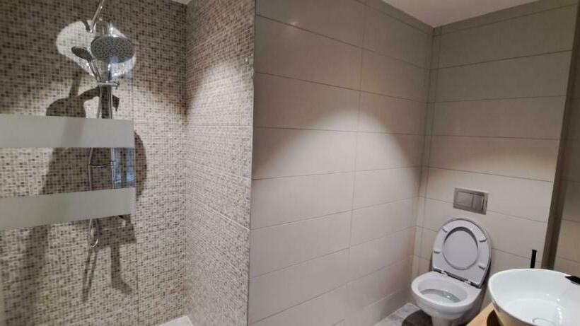 غرفة قياسية مزوَّدة بشُرفة, Plutitor Lebăda