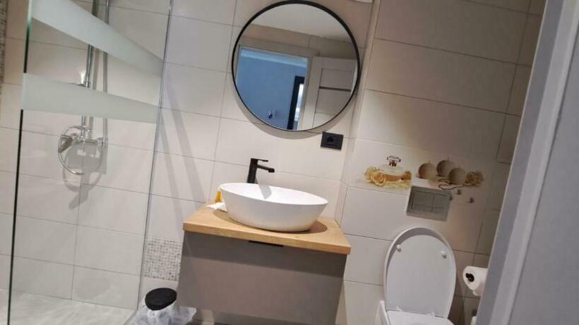 غرفة قياسية مطلّة علي البحيرة, Plutitor Lebăda