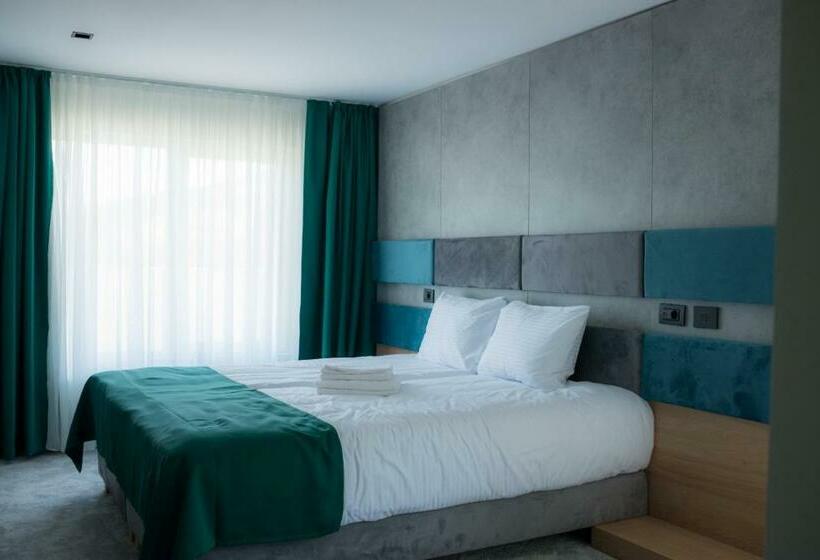 غرفة قياسية مطلّة علي البحيرة, Plutitor Lebăda