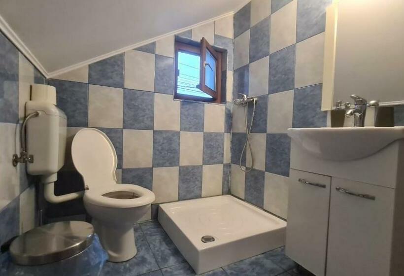 Номер Стандарт, Hanul Ancutei