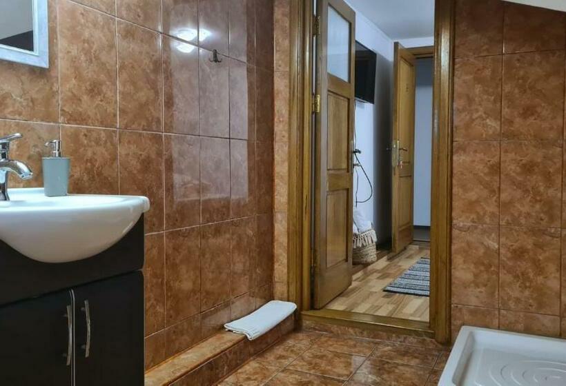 Номер Стандарт Вид на Сад, Hanul Ancutei