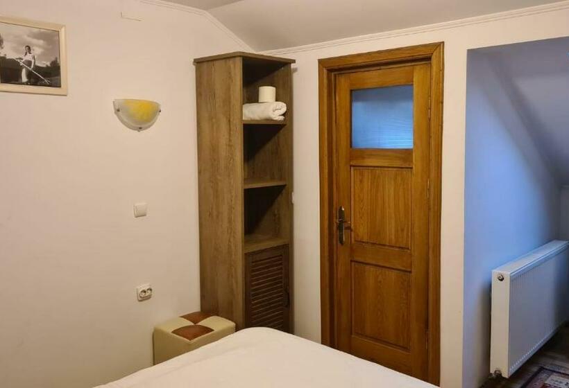 Номер Стандарт, Hanul Ancutei