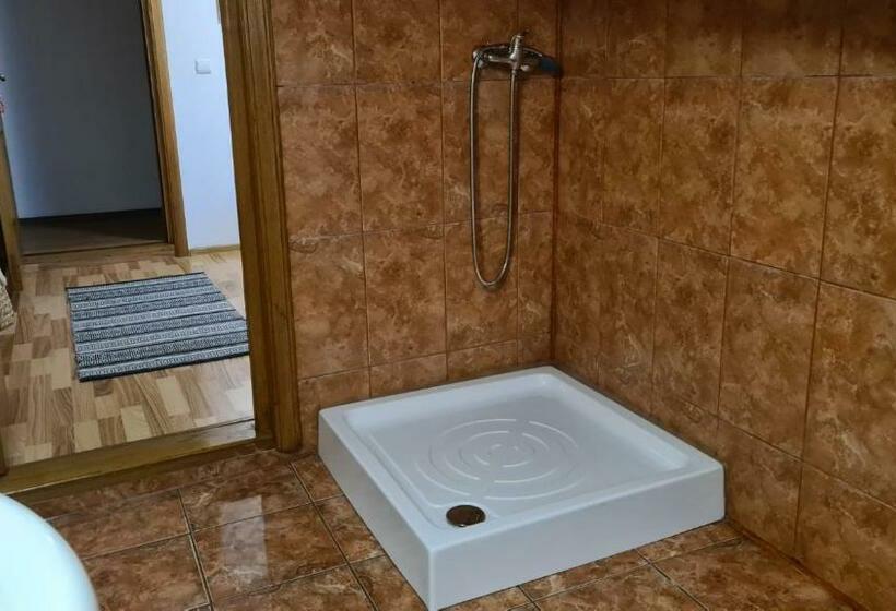 Номер Стандарт, Hanul Ancutei