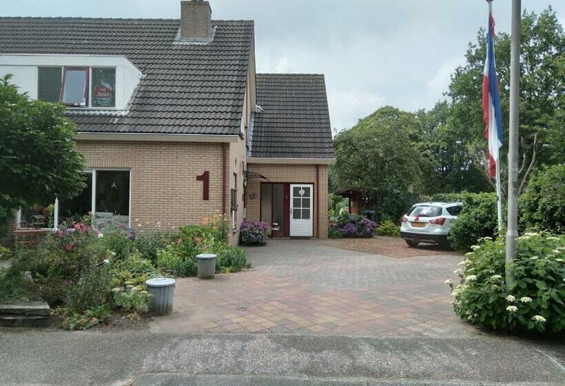 스탠다드 룸, Kop Vd Hondsrug1